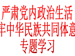 电大与成人教育中心直属党支部开展关于严肃党内政治生活和铸牢中华民族共同体意识专题学习