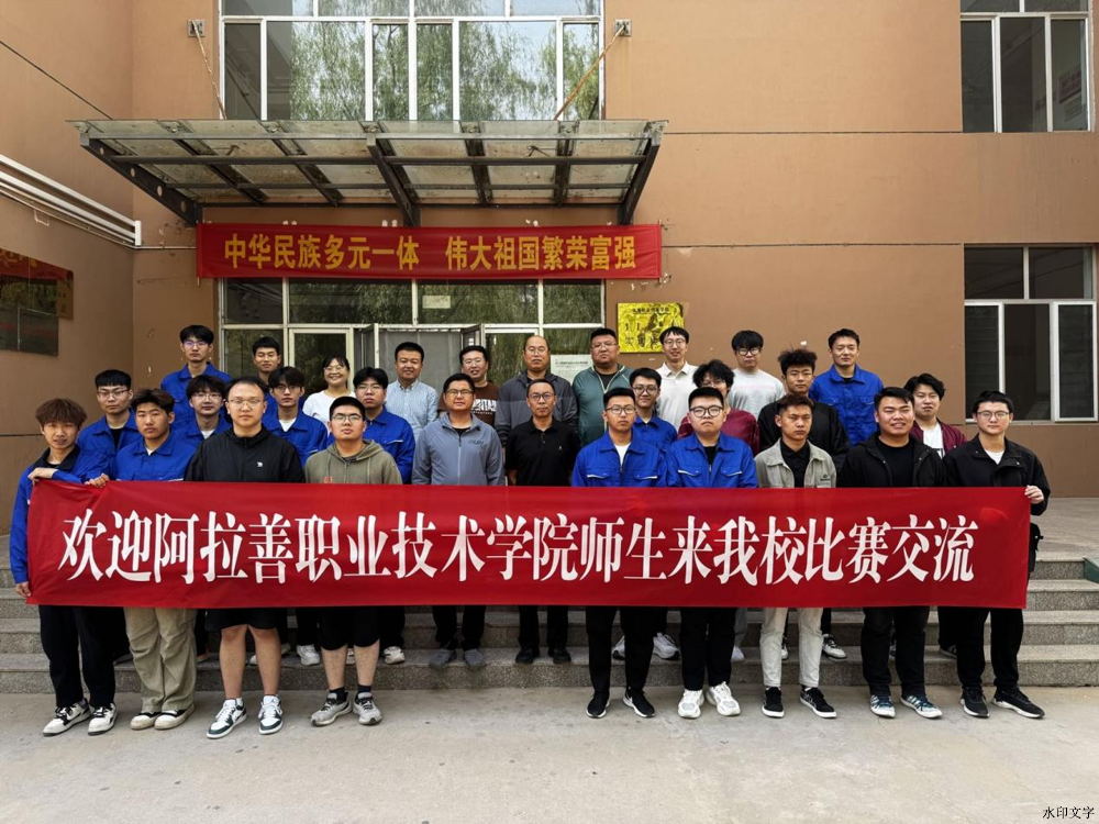图片11