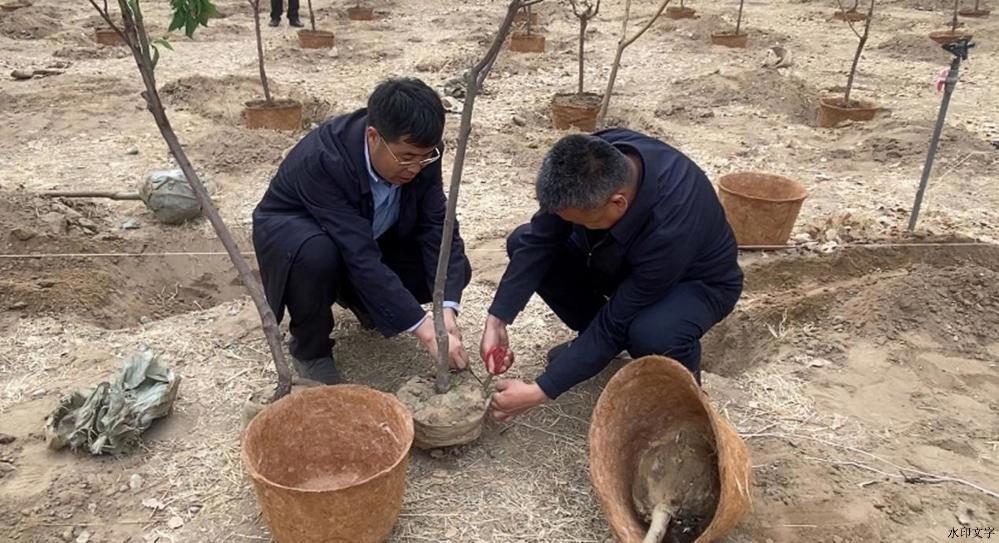 微信图片_20260421121353_24_827