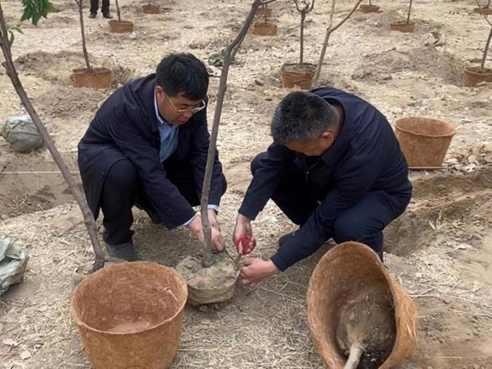 乌海职业技术学院开展2026年春季植树活动