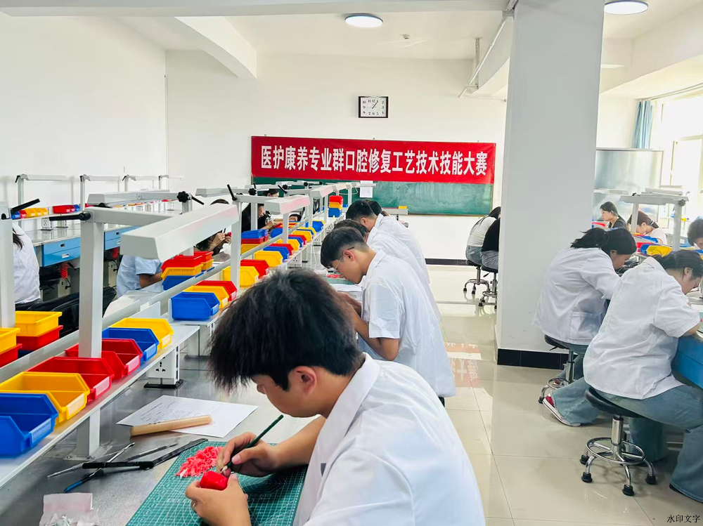图片4
