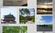 医学系开展“喜迎二十大、永远跟党走、奋进新征程”主题活动